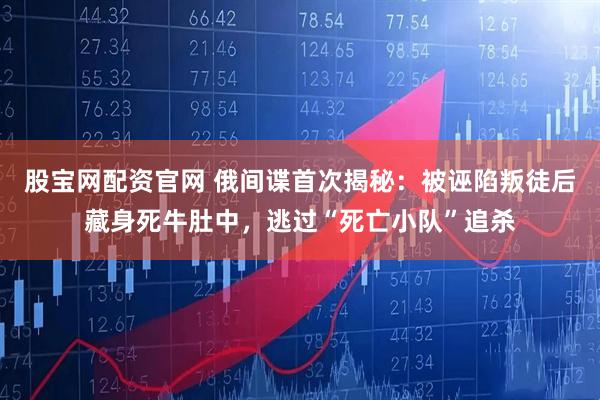股宝网配资官网 俄间谍首次揭秘：被诬陷叛徒后藏身死牛肚中，逃过“死亡小队”追杀